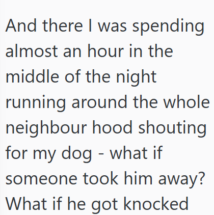 And there I was spending almost an hour in the middle of the night running around the whole neighbour hood shouting for my dog - what if someone took him away? What if he got knocked
