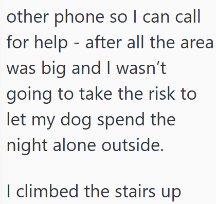 other phone so I can call for help after all the area was big and I wasn't going to take the risk to let my dog spend the night alone outside. I climbed the stairs up