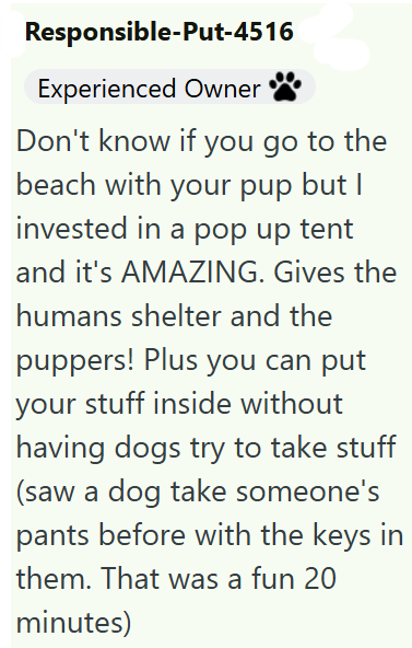 Responsible-Put-4516 Experienced Owner Don't know if you go to the beach with your pup but I invested in a pop up tent and it's AMAZING. Gives the humans shelter and the puppers! Plus you can put your stuff inside without having dogs try to take stuff (saw a dog take someone's pants before with the keys in them. That was a fun 20 minutes)