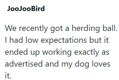 JooJooBird We recently got a herding ball. I had low expectations but it ended up working exactly as advertised and my dog loves it.