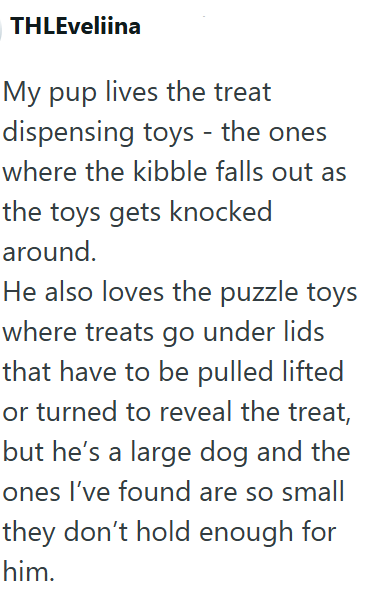 THLEveliina My pup lives the treat dispensing toys - the ones where the kibble falls out as the toys gets knocked around. He also loves the puzzle toys where treats go under lids that have to be pulled lifted or turned to reveal the treat, but he's a large dog and the ones I've found are so small they don't hold enough for him.