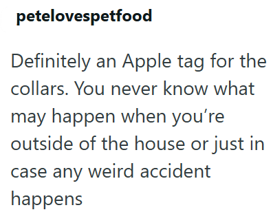 petelovespetfood Definitely an Apple tag for the collars. You never know what may happen when you're outside of the house or just in case any weird accident happens