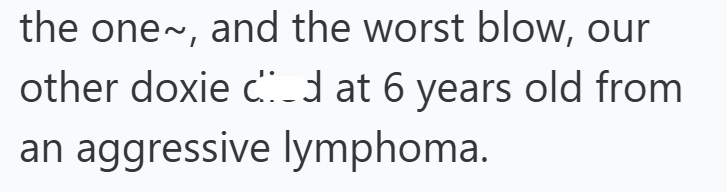 the one~, and the worst blow, our other doxie cd at 6 years old from an aggressive lymphoma.