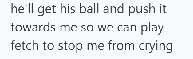 he'll get his ball and push it towards me so we can play fetch to stop me from crying