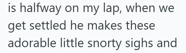 is halfway on my lap, when we get settled he makes these adorable little snorty sighs and