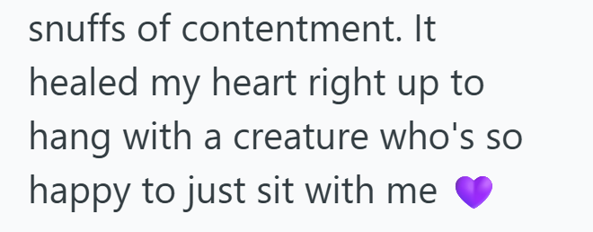 snuffs of contentment. It healed my heart right up to hang with a creature who's so happy to just sit with me