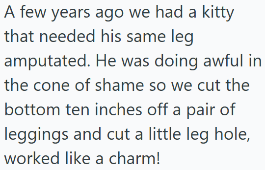 A few years ago we had a kitty that needed his same leg amputated. He was doing awful in the cone of shame so we cut the bottom ten inches off a pair of leggings and cut a little leg hole, worked like a charm!