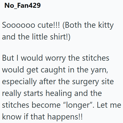 No_Fan429 Soooooo cute!!! (Both the kitty and the little shirt!) But I would worry the stitches would get caught in the yarn, especially after the surgery site really starts healing and the stitches become "longer". Let me know if that happens!!