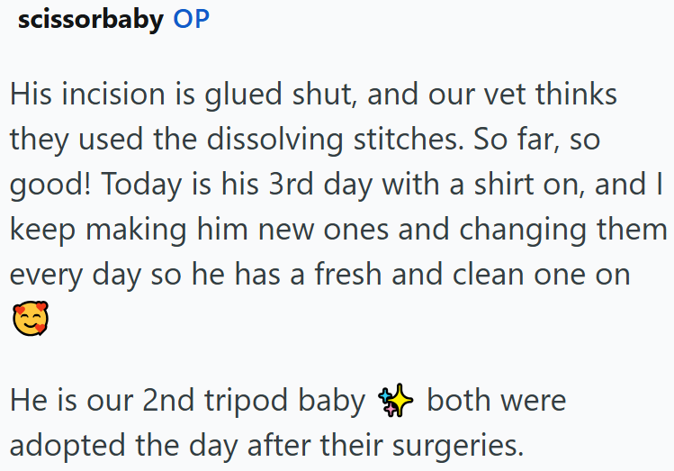 scissorbaby OP His incision is glued shut, and our vet thinks they used the dissolving stitches. So far, so good! Today is his 3rd day with a shirt on, and I keep making him new ones and changing them every day so he has a fresh and clean one on He is our 2nd tripod baby both were adopted the day after their surgeries.