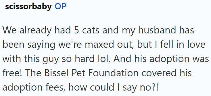 scissorbaby OP We already had 5 cats and my husband has been saying we're maxed out, but I fell in love with this guy so hard lol. And his adoption was free! The Bissel Pet Foundation covered his adoption fees, how could I say no?!