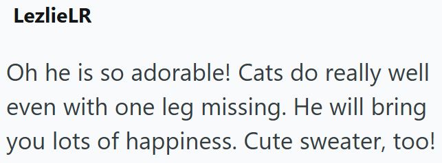 LezlieLR Oh he is so adorable! Cats do really well even with one leg missing. He will bring you lots of happiness. Cute sweater, too!