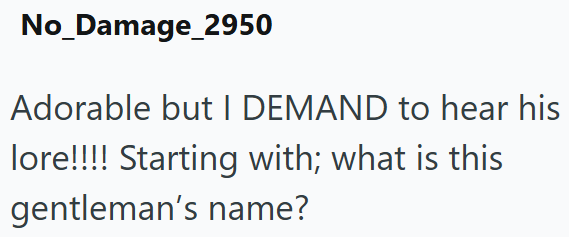 No_Damage_2950 Adorable but I DEMAND to hear his lore!!!! Starting with; what is this gentleman's name?