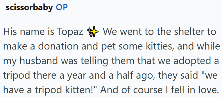 scissorbaby OP His name is Topaz make a donation and pet some kitties, and while my husband was telling them that we adopted a tripod there a year and a half ago, they said "we have a tripod kitten!" And of course I fell in love. We went to the shelter to