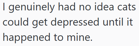 I genuinely had no idea cats could get depressed until it happened to mine.