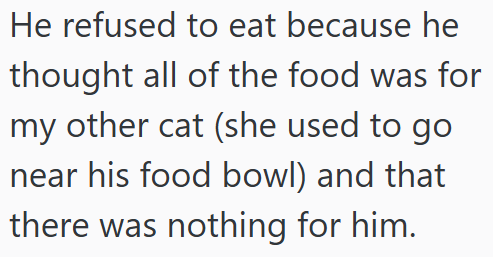 He refused to eat because he thought all of the food was for my other cat (she used to go near his food bowl) and that there was nothing for him.