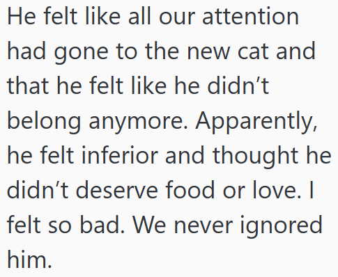 He felt like all our attention had gone to the new cat and that he felt like he didn't belong anymore. Apparently, he felt inferior and thought he didn't deserve food or love. I felt so bad. We never ignored him.