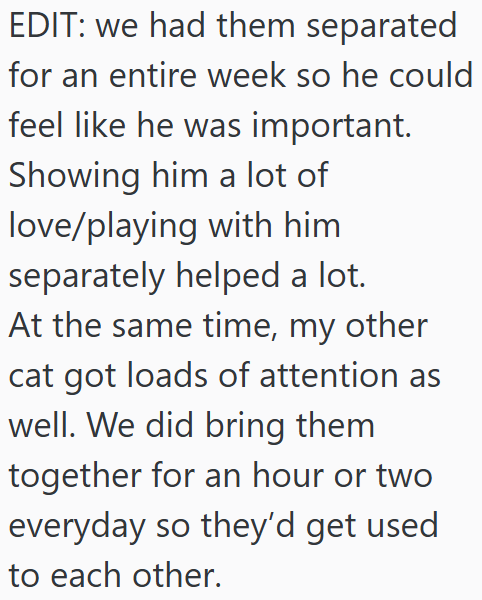 EDIT: we had them separated for an entire week so he could feel like he was important. Showing him a lot of love/playing with him separately helped a lot. At the same time, my other cat got loads of attention as well. We did bring them. together for an hour or two everyday so they'd get used to each other.