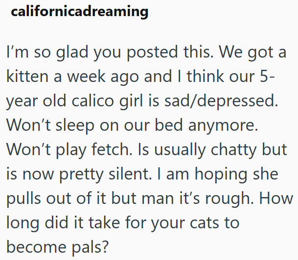 californicadreaming I'm so glad you posted this. We got a kitten a week ago and I think our 5- year old calico girl is sad/depressed. Won't sleep on our bed anymore. Won't play fetch. Is usually chatty but is now pretty silent. I am hoping she pulls out of it but man it's rough. How long did it take for your cats to become pals?