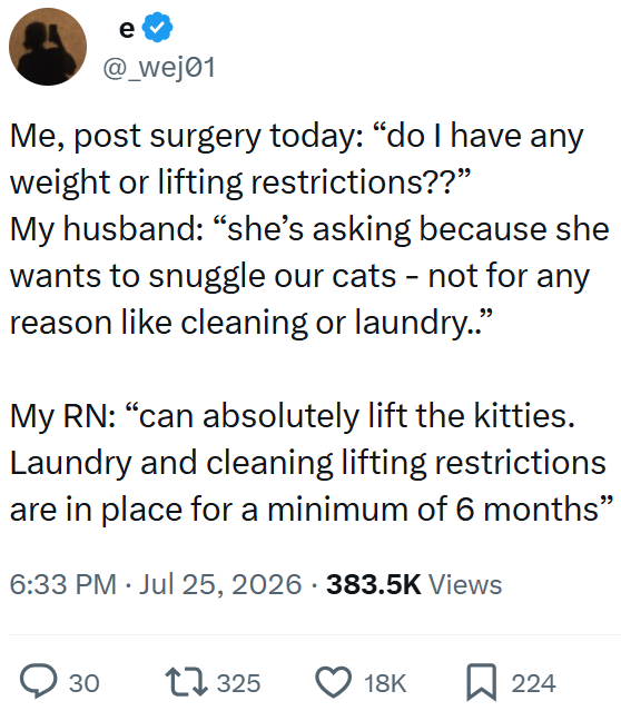 e @_wej01 Me, post surgery today: "do I have any weight or lifting restrictions??" My husband: "she's asking because she wants to snuggle our cats - not for any reason like cleaning or laundry.." My RN: "can absolutely lift the kitties. Laundry and cleaning lifting restrictions are in place for a minimum of 6 months" 6:33 PM Jul 25, 2026 383.5K Views • 30 17325 18K ☐ 224