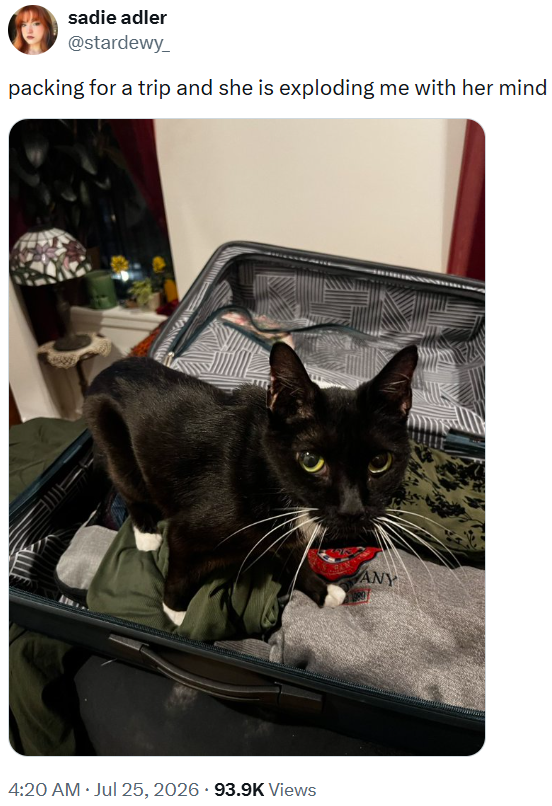 sadie adler @stardewy_ packing for a trip and she is exploding me with her mind 4:20 AM · Jul 25, 2026 93.9K Views ANY