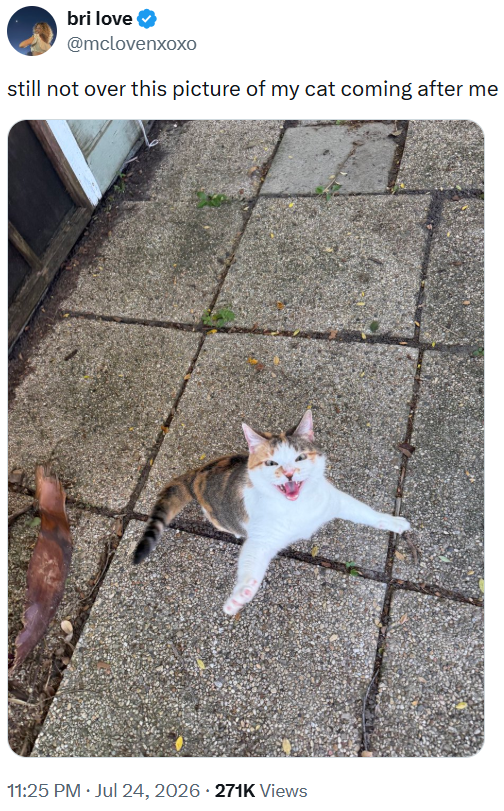 bri love ❤ @mclovenxoxo still not over this picture of my cat coming after me 11:25 PM. Jul 24, 2026 271K Views