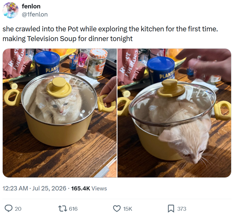fenlon @1fenlon she crawled into the Pot while exploring the kitchen for the first time. making Television Soup for dinner tonight Russe Potatoe PLANT Ret PLANT 12:23 AM - Jul 25, 2026 165.4K Views 20 17616 15K 373