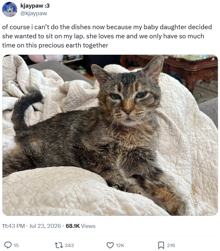 kjaypaw :3 @kjaypaw of course i can't do the dishes now because my baby daughter decided she wanted to sit on my lap. she loves me and we only have so much time on this precious earth together . 11:43 PM ⚫ Jul 23, 2026 68.1K Views 15 343 12K 216
