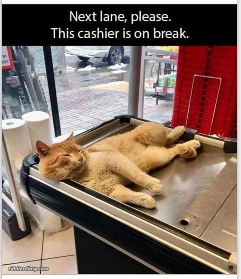 tiddiesdiary.com Next lane, please. This cashier is on break.