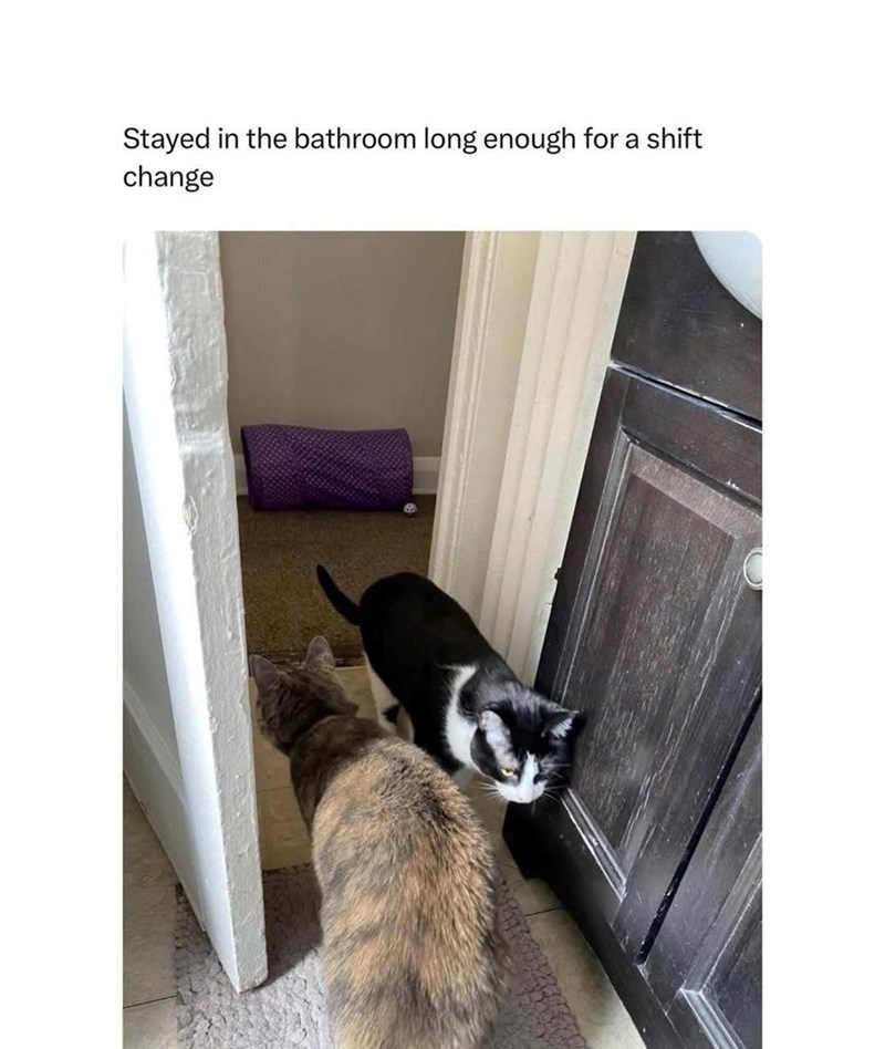 Stayed in the bathroom long enough for a shift change