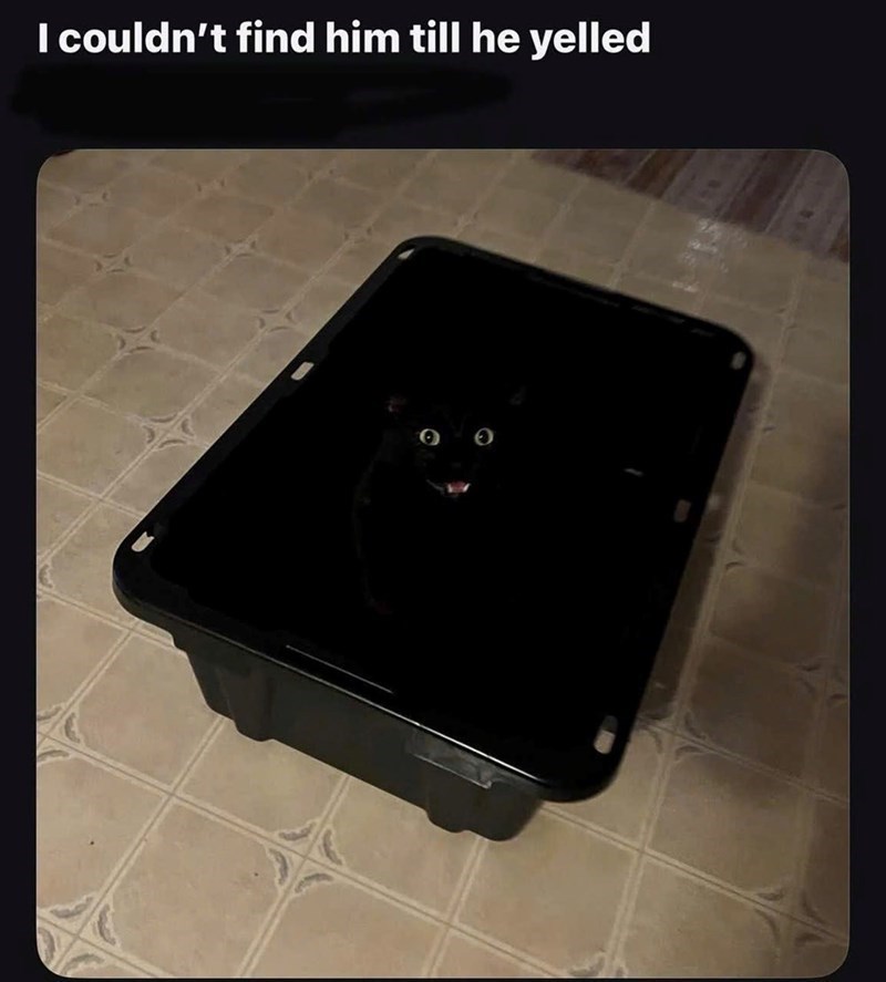 I couldn't find him till he yelled