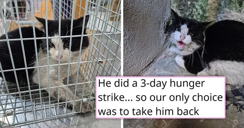 He did a 3-day hunger strike... so our only choice was to take him back