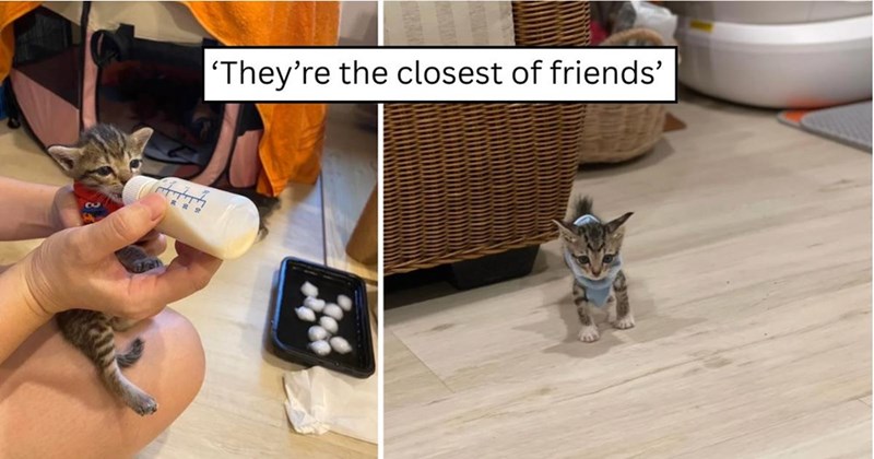 8 'They're the closest of friends'