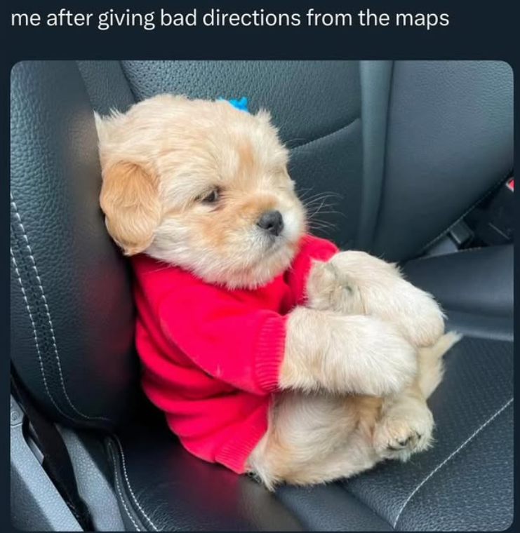 me after giving bad directions from the maps