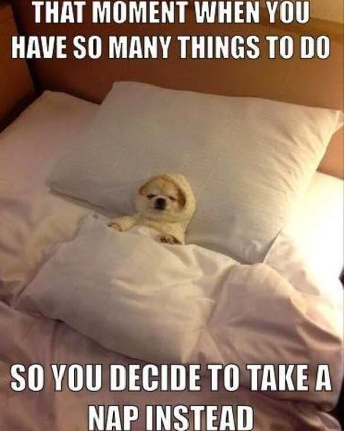 THAT MOMENT WHEN YOU HAVE SO MANY THINGS TO DO SO YOU DECIDE TO TAKE A NAP INSTEAD