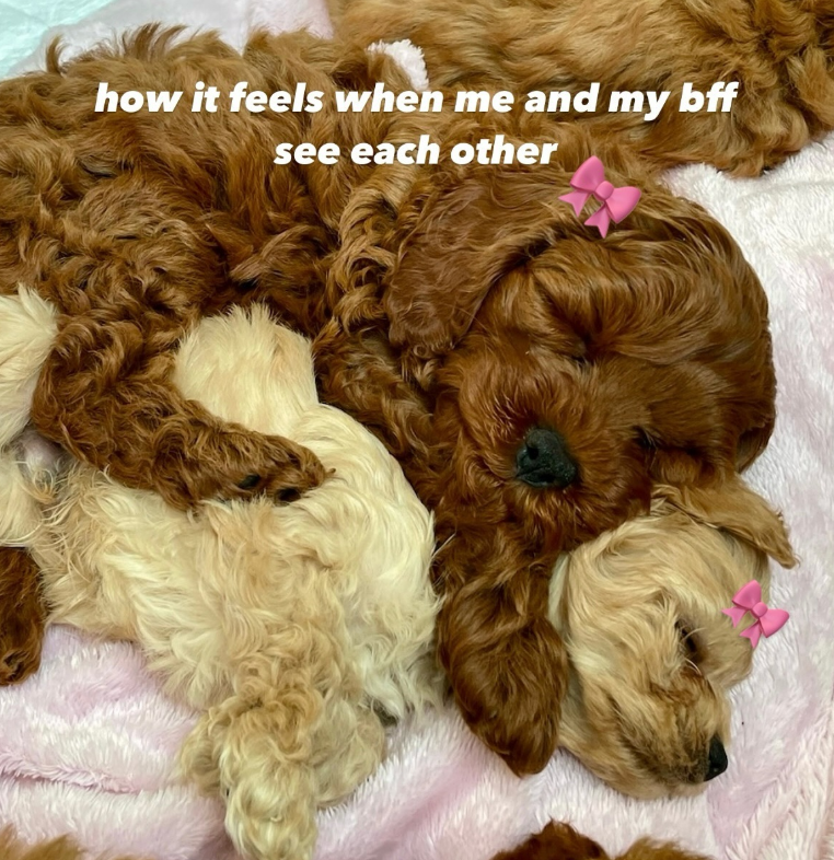 how it feels when me and my bff see each other