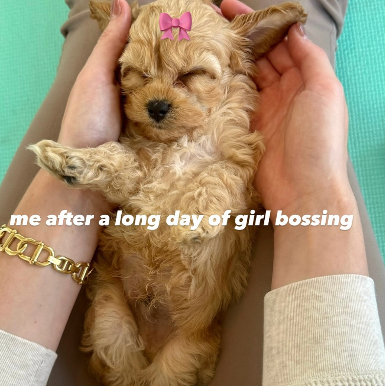 me after a long day of girl bossing ID: