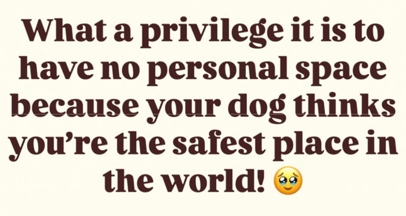 What a privilege it is to have no personal space because your dog thinks you're the safest place in the world!