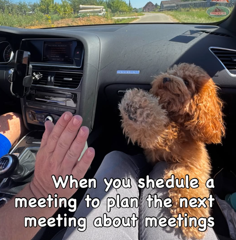 BFF 55 When you shedule a meeting to plan the next meeting about meetings