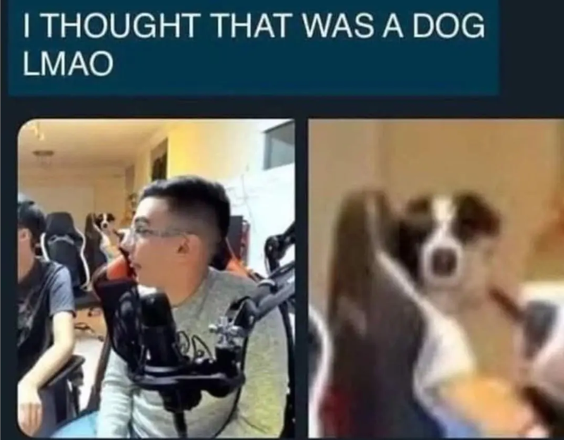 I THOUGHT THAT WAS A DOG LMAO