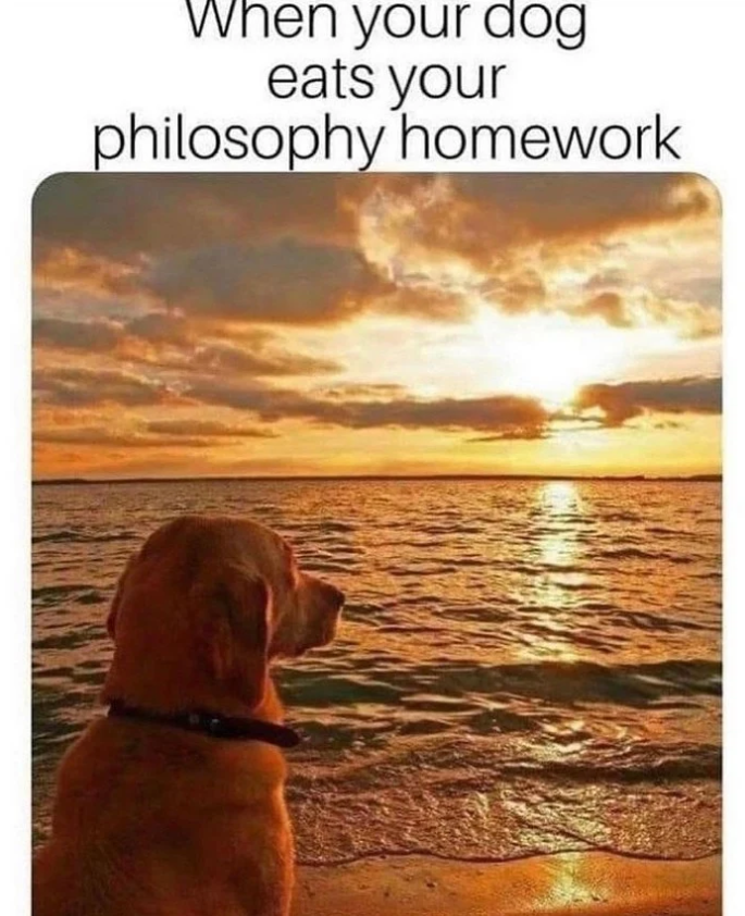 When your dog eats your philosophy homework