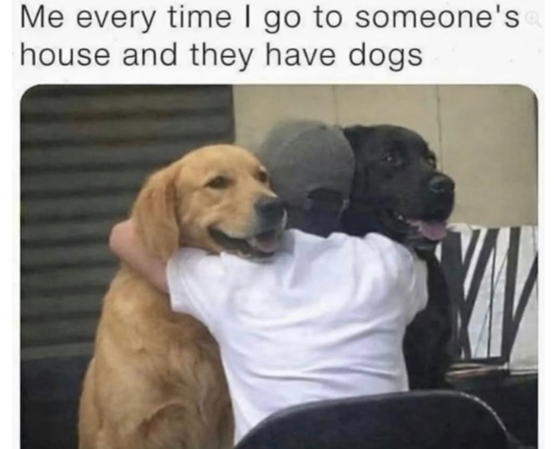 Me every time I go to someone's house and they have dogs