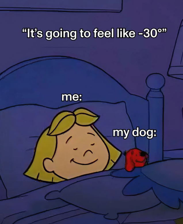 "It's going to feel like -30°" me: my dog: