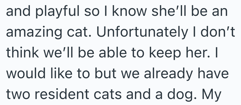 and playful so I know she'll be an amazing cat. Unfortunately I don't think we'll be able to keep her. I would like to but we already have two resident cats and a dog. My