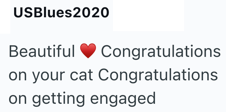 USBlues2020 Beautiful Congratulations on your cat Congratulations on getting engaged