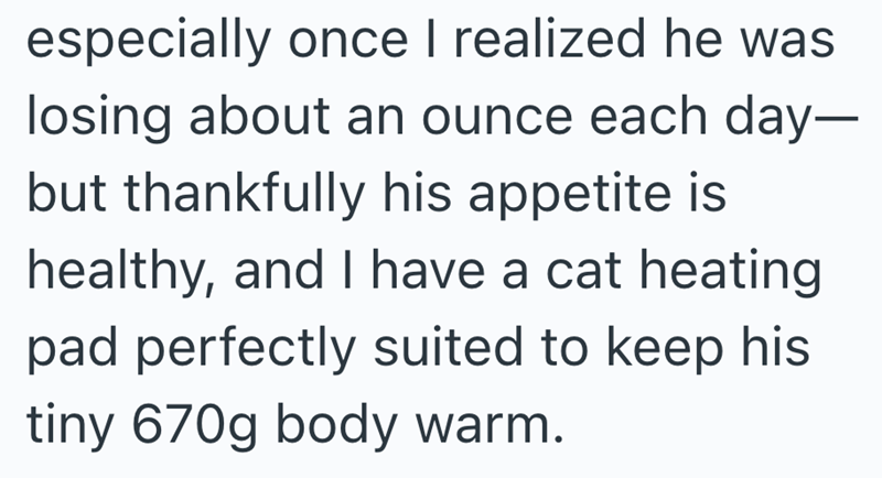 especially once I realized he was losing about an ounce each day- but thankfully his appetite is healthy, and I have a cat heating pad perfectly suited to keep his tiny 670g body warm.