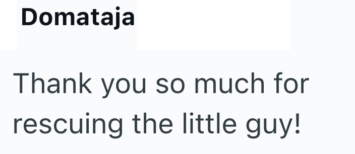 Domataja Thank you so much for rescuing the little guy!