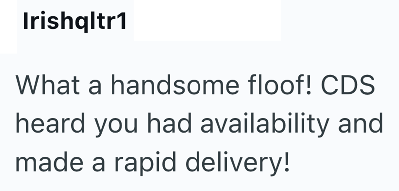 Irishqltr1 What a handsome floof! CDS heard you had availability and made a rapid delivery!