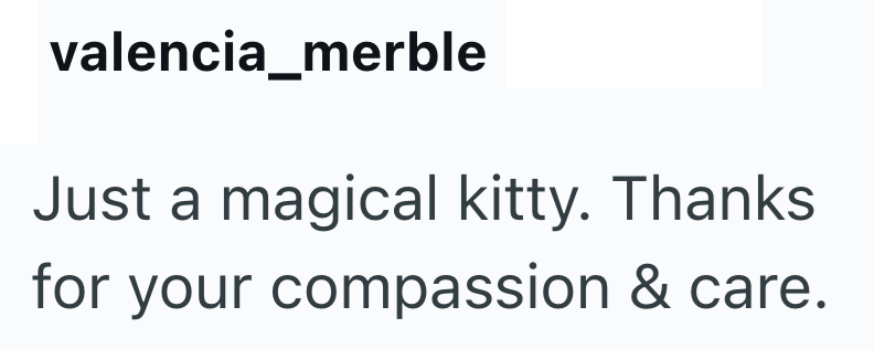valencia_merble Just a magical kitty. Thanks for your compassion & care.
