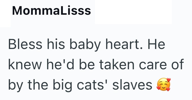 MommaLisss Bless his baby heart. He knew he'd be taken care of by the big cats' slaves