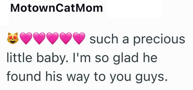 MotownCatMom such a precious little baby. I'm so glad he found his way to you guys.